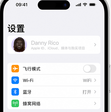 理塘appleID维修服务iPhone设置中Apple ID显示为灰色无法使用 