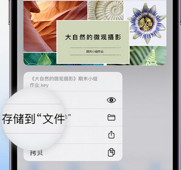 理塘apple维修中心分享iPhone文件应用中存储和找到下载文件