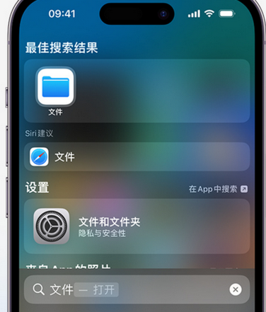 理塘apple维修中心分享iPhone文件应用中存储和找到下载文件