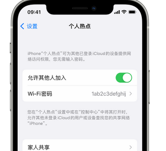 理塘apple服务站点分享iPhone上个人热点丢失了怎么办