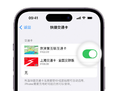 理塘apple维修点分享iPhone上更换Apple Pay快捷交通卡手绘卡面 