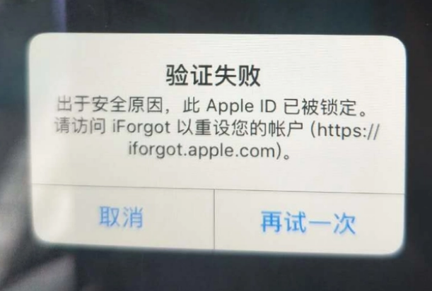 理塘iPhone维修分享iPhone上正常登录或使用AppleID怎么办 