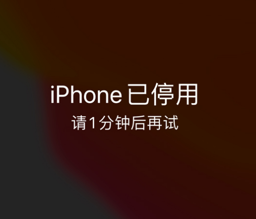 理塘苹果手机维修分享:iPhone 显示“不可用”或“已停用”怎么办？还能保留数据吗？ 