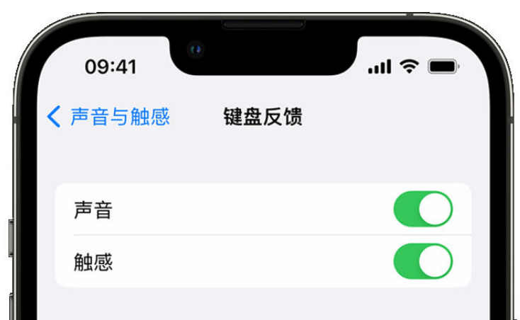 理塘苹果手机维修分享iPhone 14触感键盘使用方法 