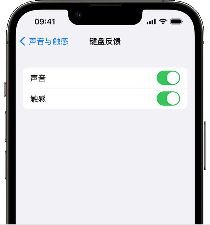 理塘苹果14维修店分享如何在 iPhone 14 机型中使用触感键盘 