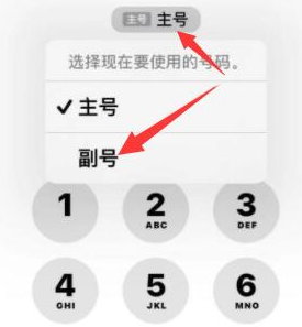 理塘苹果14维修店分享iPhone 14 Pro Max使用副卡打电话的方法 