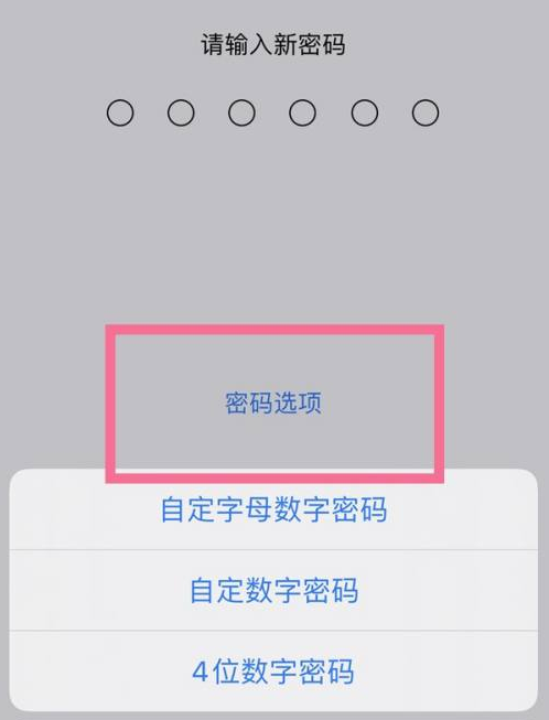 理塘苹果14维修分享iPhone 14plus设置密码的方法 