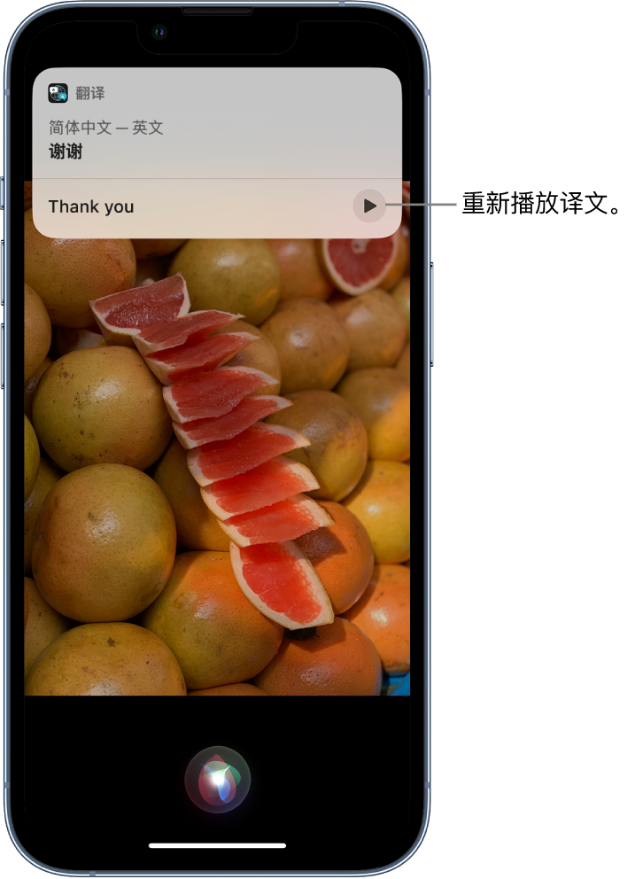 理塘苹果14维修分享 iPhone 14 机型中使用 Siri：了解 Siri 能帮你做什么 