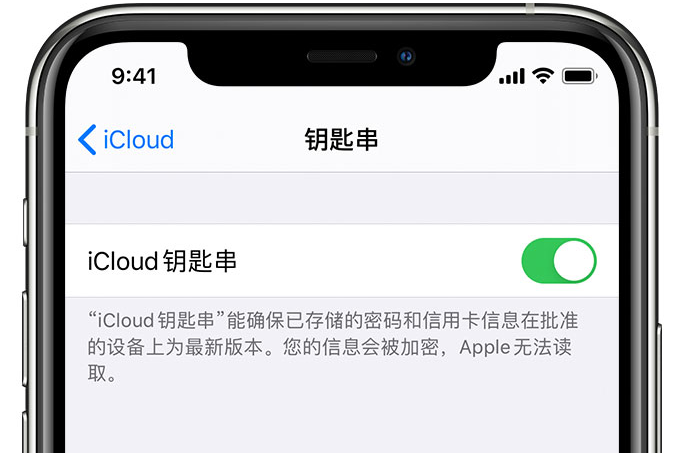 理塘苹果手机维修分享在 iPhone 上开启 iCloud 钥匙串之后会储存哪些信息 