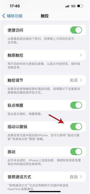 理塘苹果手机维修分享iPhone手机如何设置摇一摇删除文字 